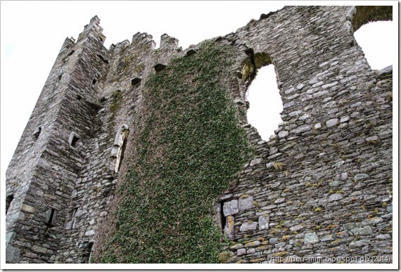 Urlaub Irland 122 Urlaub Irland 122