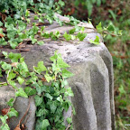 20100815_119_small.JPG