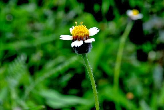 Hasil foto jepretan Nikon D3100 foto Nikon D3100