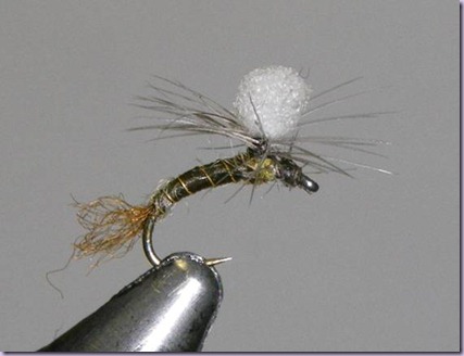 clip_image028 clip_image028