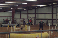 DSCF2930.JPG