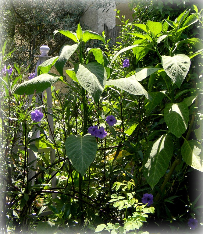 [DSCN8752-3%255B4%255D.jpg]