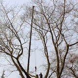 IMG_0106.JPG