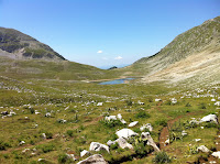 IMG_1538.JPG