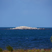 DSC00698.JPG