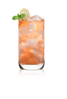 Blood Orange Fizz.png