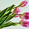 0IMG_3444.JPG
