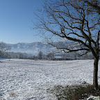 2011-12-20 (15).jpg