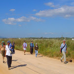 walk2.jpg