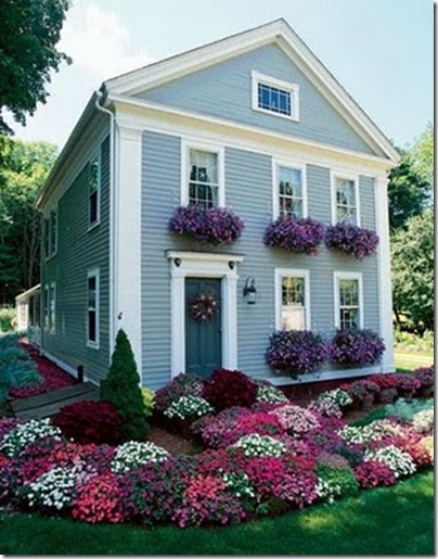 window-boxes4