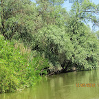 IMG_7751.JPG