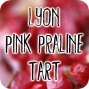 lyonpinkpralinetart