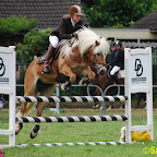 SonniusHippiquePonys