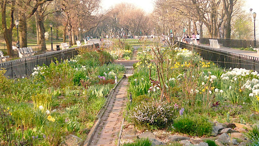 They also do amazing plantings within these display beds and throughout the park. I love seeing the plants sweep in and out of succession in this bed as the days move through the season.