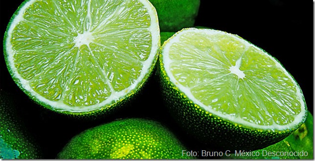 limon-colima Bruno C. limon-colima Bruno C.