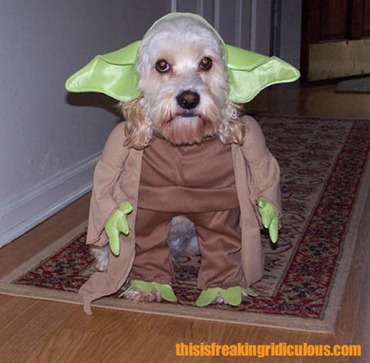 Yoda-Dog-Costume
