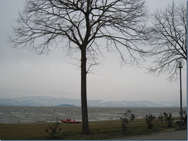 IMG_0806 IMG_0806