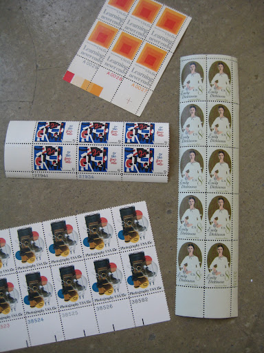 some beauties we purchased.