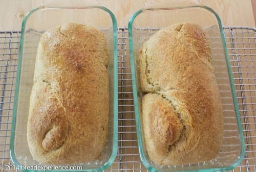 [sourdough-toasted-cornmeal-bread-2-2%255B5%255D.jpg]