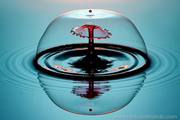 liquid-drop-art-gotas-caindo-foto-velocidade-hora-certa-desbaratinando (102) liquid-drop-art-gotas-caindo-foto-velocidade-hora-certa-desbaratinando (102)