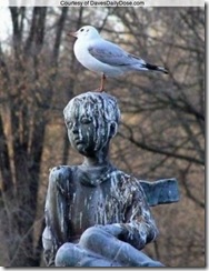 Estatua e pombo Estatua e pombo