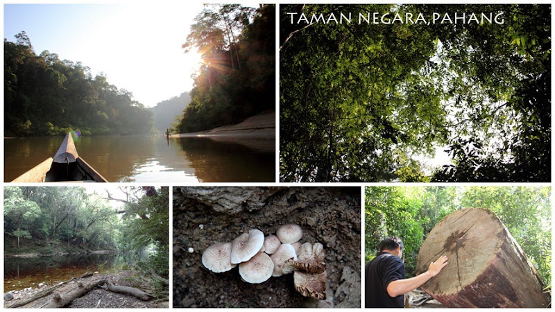 taman negara2