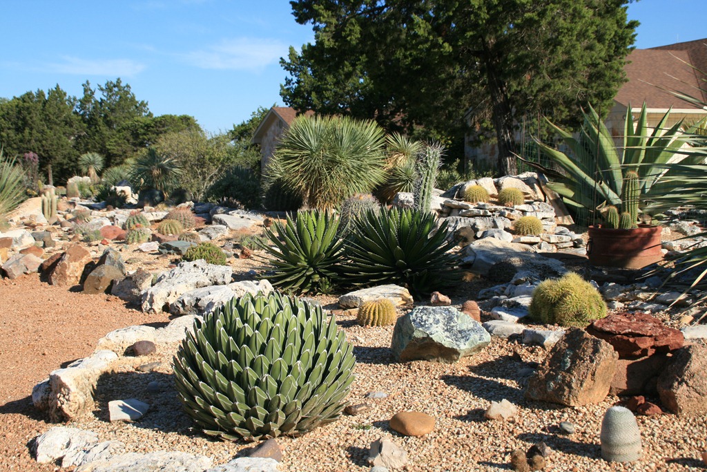 [IMG_5965%255B9%255D.jpg]