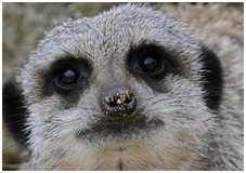 [image%255B24%255D.png]