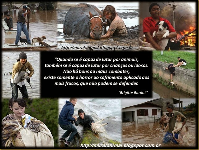 protetor-animais (3)