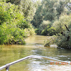 DSCN9368.JPG