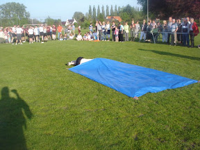 DSC03865.jpg
