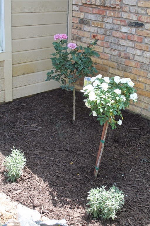 [French%2520drain%2520114%255B7%255D.jpg]