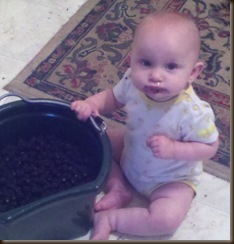Amelia Blackberry Girl Amelia Blackberry Girl