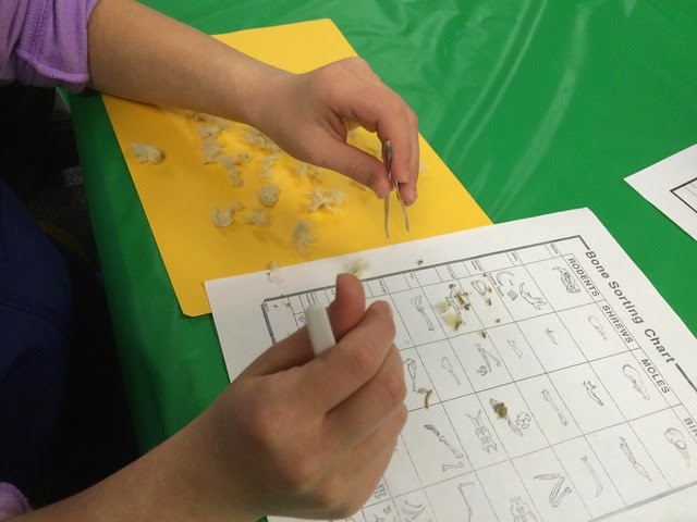 [IMG_1617%255B7%255D.jpg]