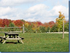 IMG_3910 IMG_3910