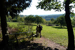 http://lh4.ggpht.com/-U9n9I2deLrY/TqLAT9dG09I/AAAAAAAACOk/BlZTl5JIxpU/Saarland%252520%252528429%252529.JPG