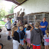 Album weergeven