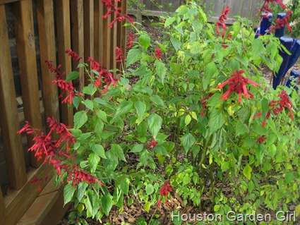 [IMG_4318%255B3%255D.jpg]