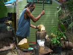 DSCF0233.JPG
