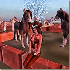 Hayati's Horse Ranch in Wharf Hayati's Horse Ranch in Wharf