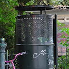 DSC_0763.jpg