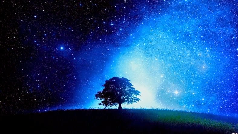 [11018-tree-starry-night4.jpg]