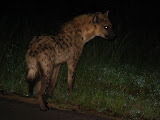 South Africa - 056.JPG