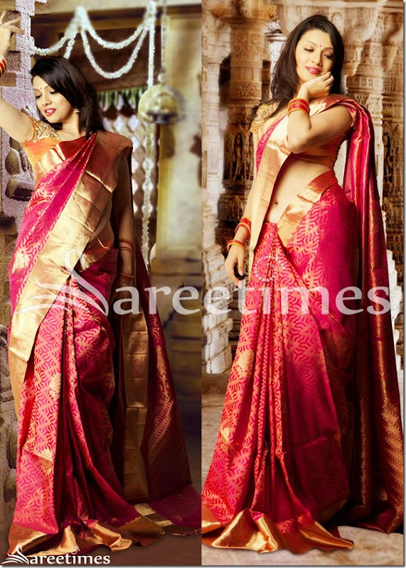 Parinidhi_Pink_Bridal_Silk_Saree Parinidhi_Pink_Bridal_Silk_Saree