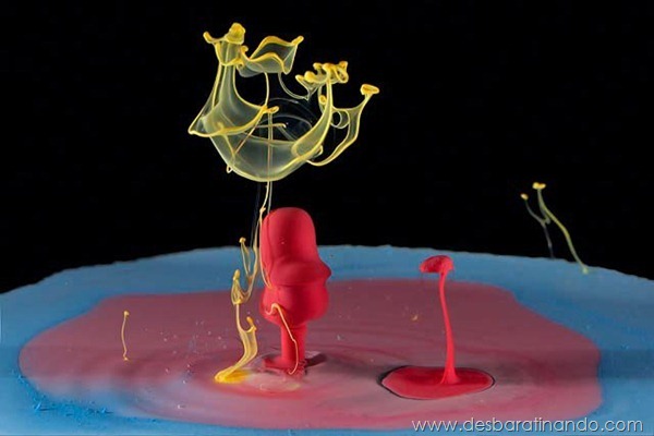 liquid-drop-art-gotas-caindo-foto-velocidade-hora-certa-desbaratinando (184) liquid-drop-art-gotas-caindo-foto-velocidade-hora-certa-desbaratinando (184)