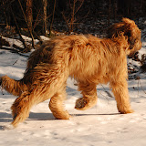 Abi - DSC_0593.jpg