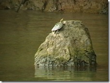 IMGA0106 IMGA0106