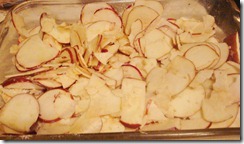 chipolte and apple crisp 022