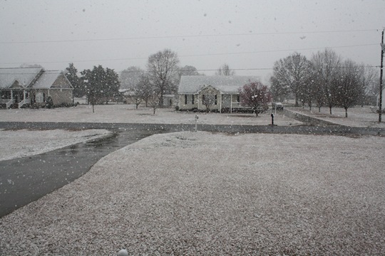 [IMG_1376%255B4%255D.jpg]