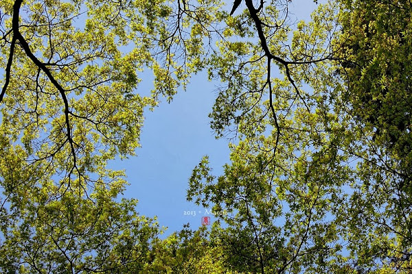 京都真如堂